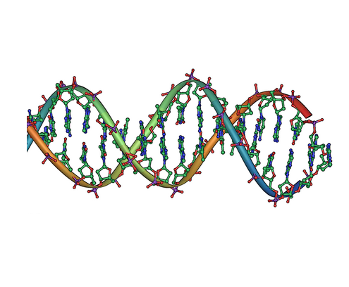 DNA 书写示意图